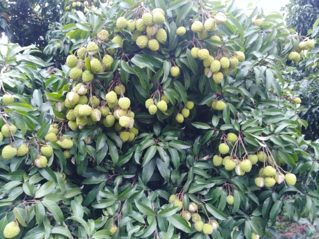 絞胎陶瓷工藝品銷售 第394頁