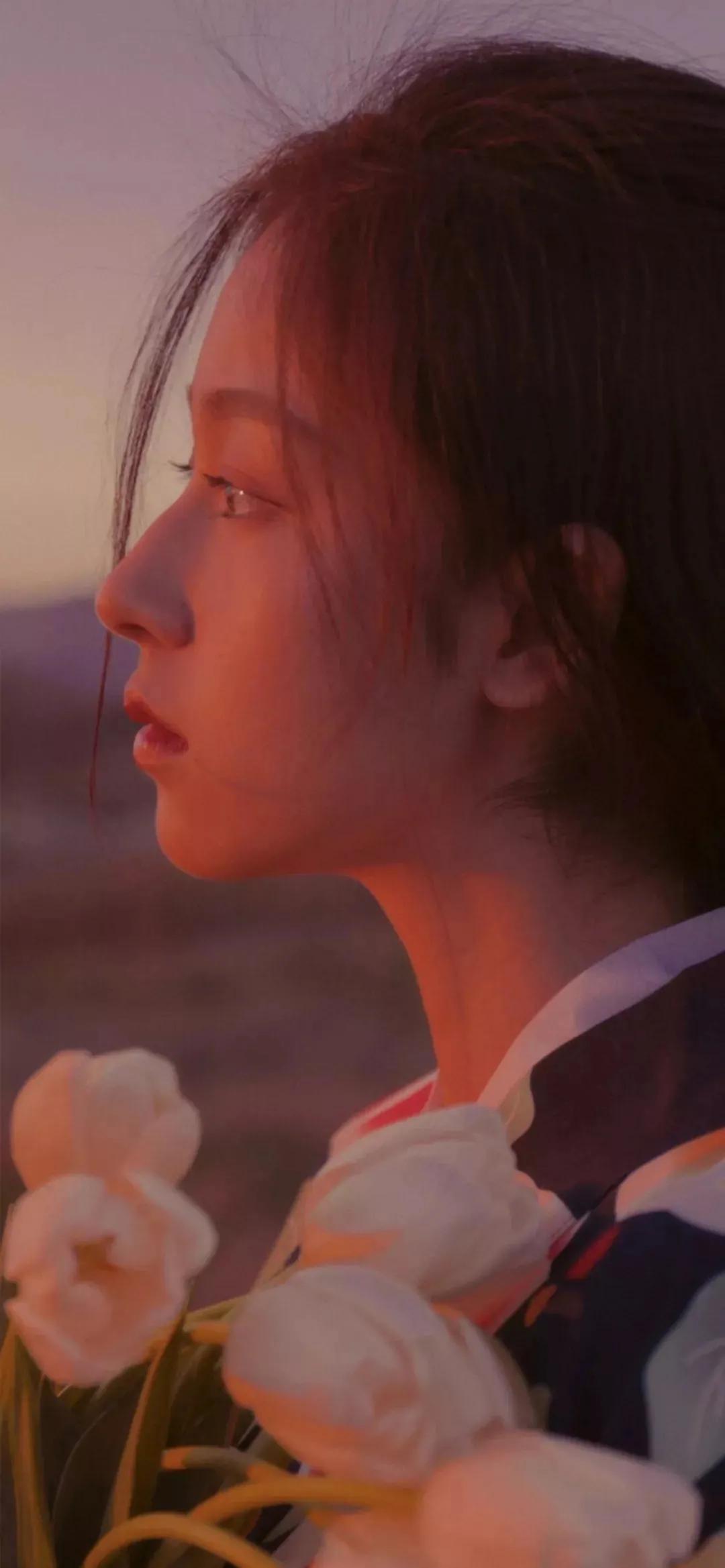 最新款蘋果手機(jī)，時(shí)代標(biāo)桿與科技創(chuàng)新之巔