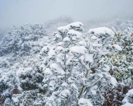 朝晨最新，探尋自然美景的旅程