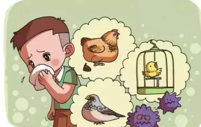 活禽市場動態(tài)深度解析，背景資訊與最新動態(tài)