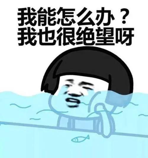 金牌股票，股市中的勵志成長與自我超越之旅