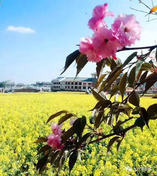 大方縣人事任免最新動態(tài)，自然美景探索之旅啟程