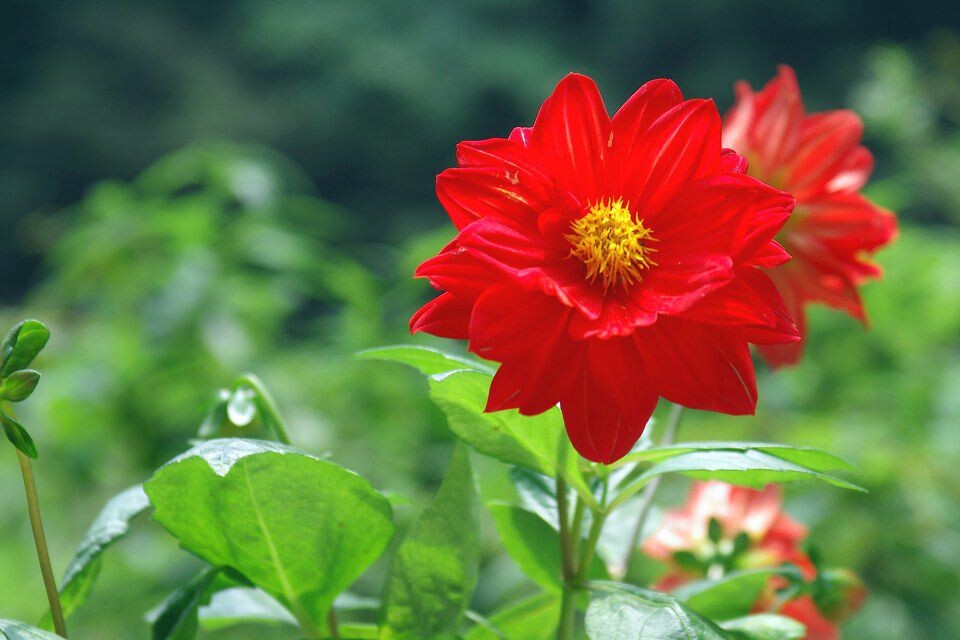 友情與陪伴的溫馨日常，最新神馬花花分享