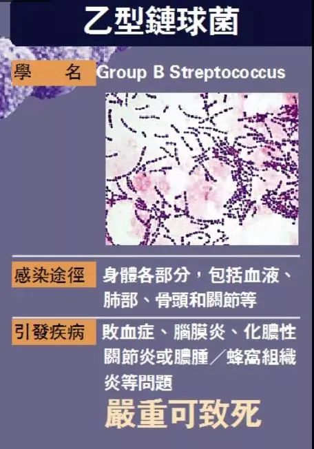 病菌最新動態(tài)概覽