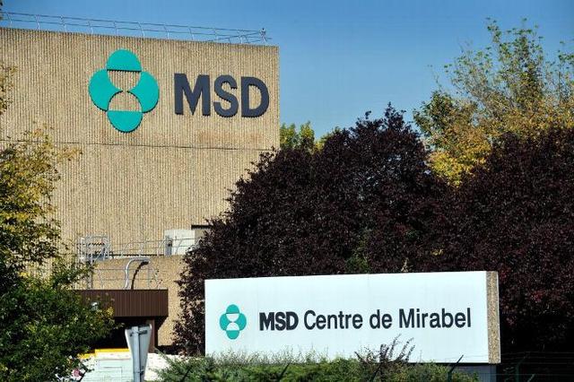 MSD幣實時價格最新動態(tài)，洞悉市場趨勢，掌握最新行情！