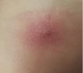 輕松學(xué)習(xí)新技能或完成任務(wù)的最新小妙招指南