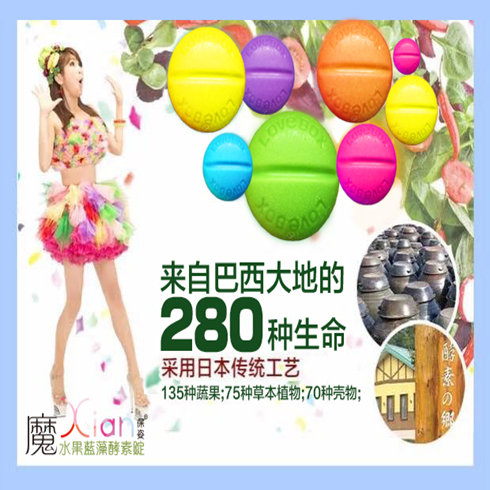 酵素上市公司，背景、歷程與地位概述