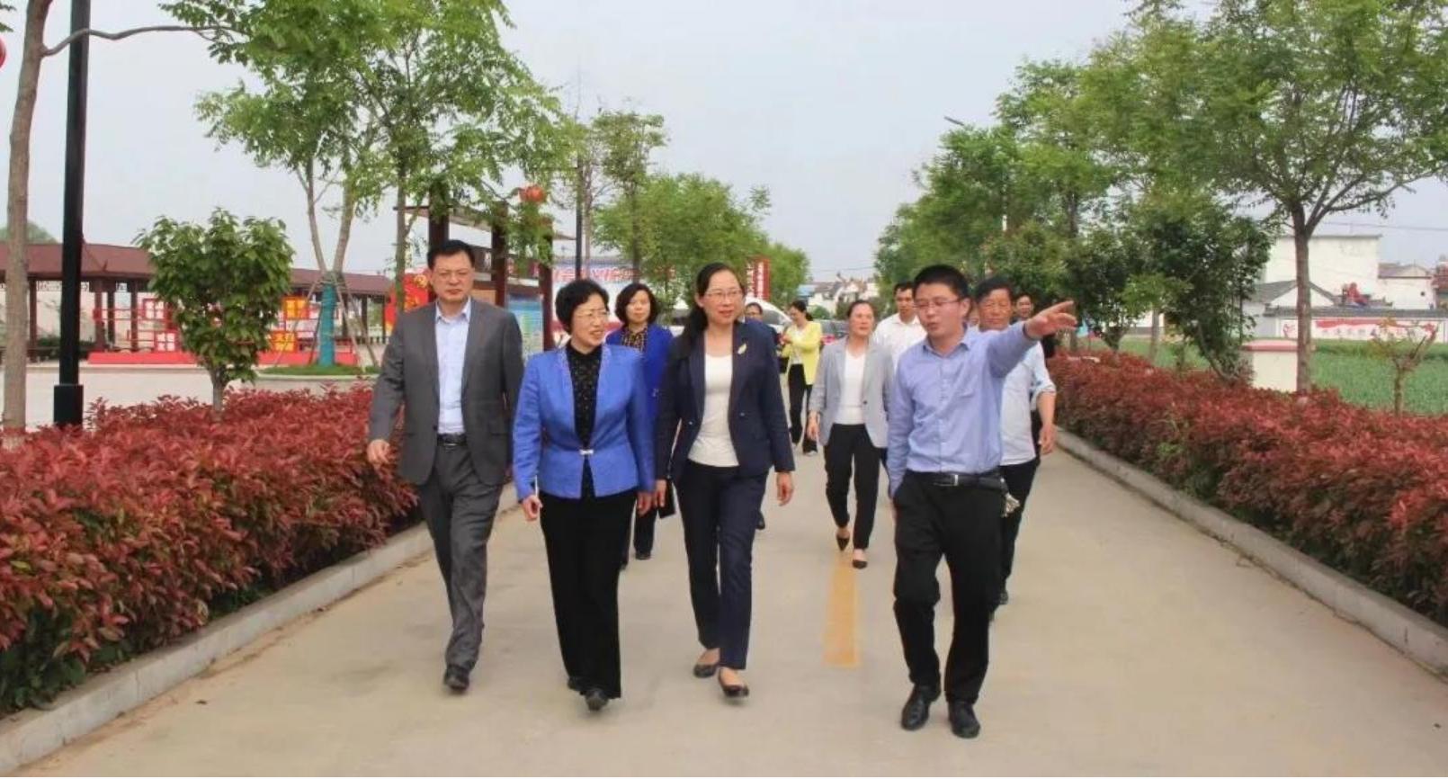 鄉(xiāng)村振興全面步驟指南，展現新風采的鄉(xiāng)村振興之路