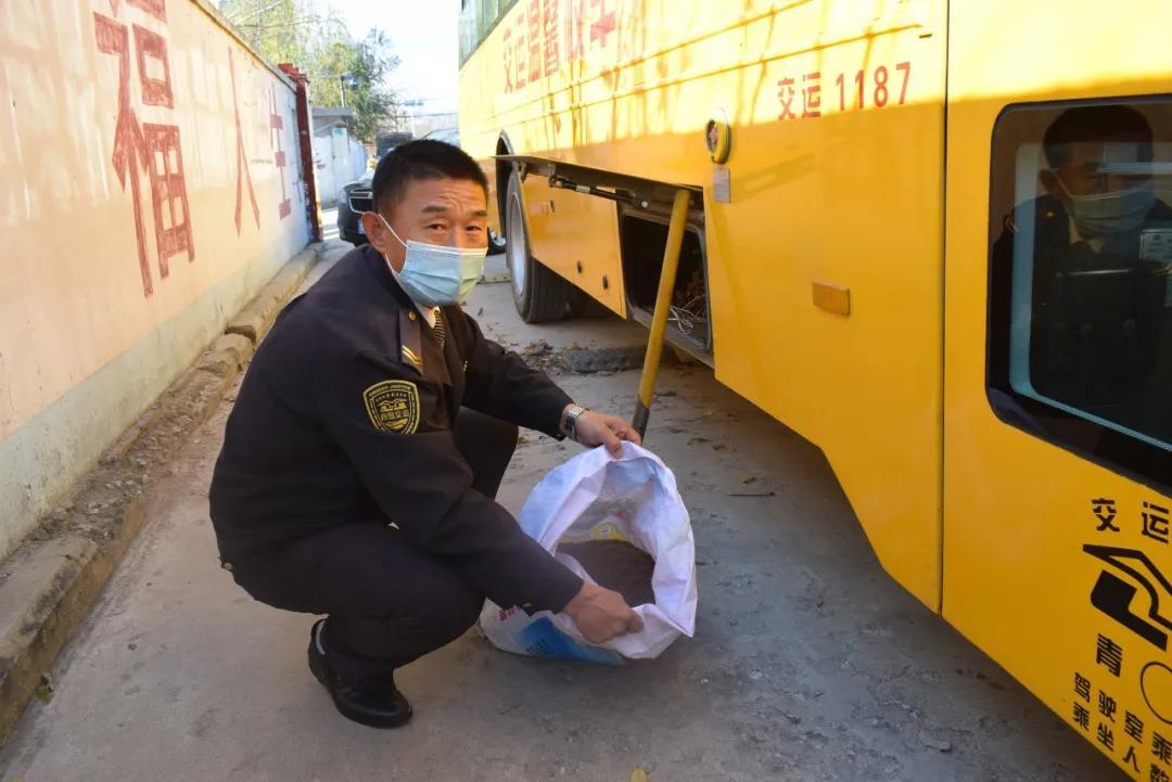 萊西駕駛員招聘信息及其背景影響分析