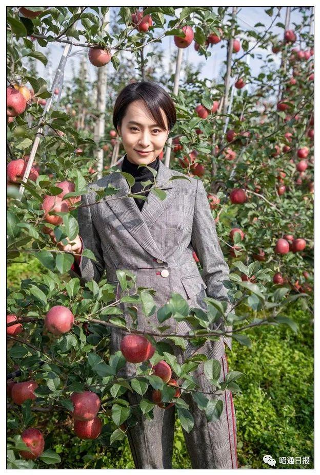 零炮樓電視劇演員表大全