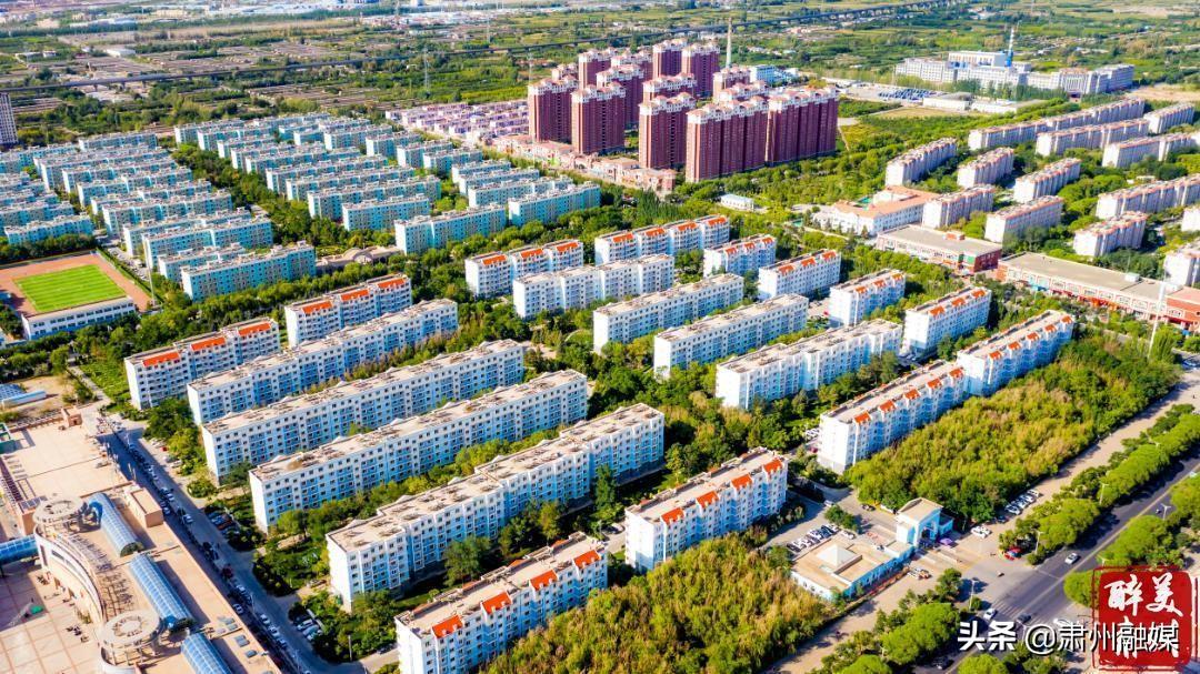 甘肅銀行最新存款利率揭秘，小巷深處的價值發(fā)現(xiàn)