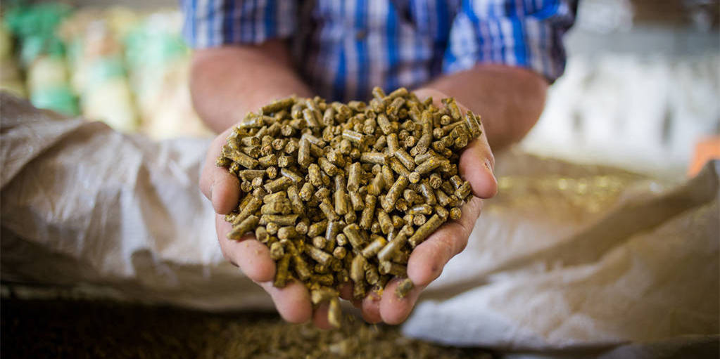 中儲(chǔ)糧豆粕最新價(jià)格動(dòng)態(tài)，洞悉市場(chǎng)變化，掌握最新行情！