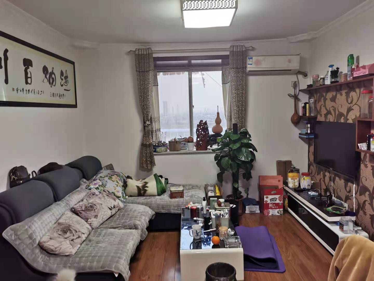 南京鑫庭雅苑揭秘，深巷里的秘密花園最新房價(jià)探秘