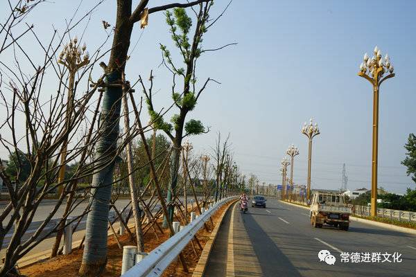 沅澧快速干線，最新動態(tài)與溫情故事