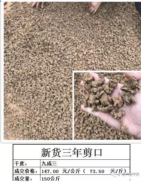 中藥材藥通網(wǎng)最新快訊揭秘，小巷深處的神秘藥材寶藏探索