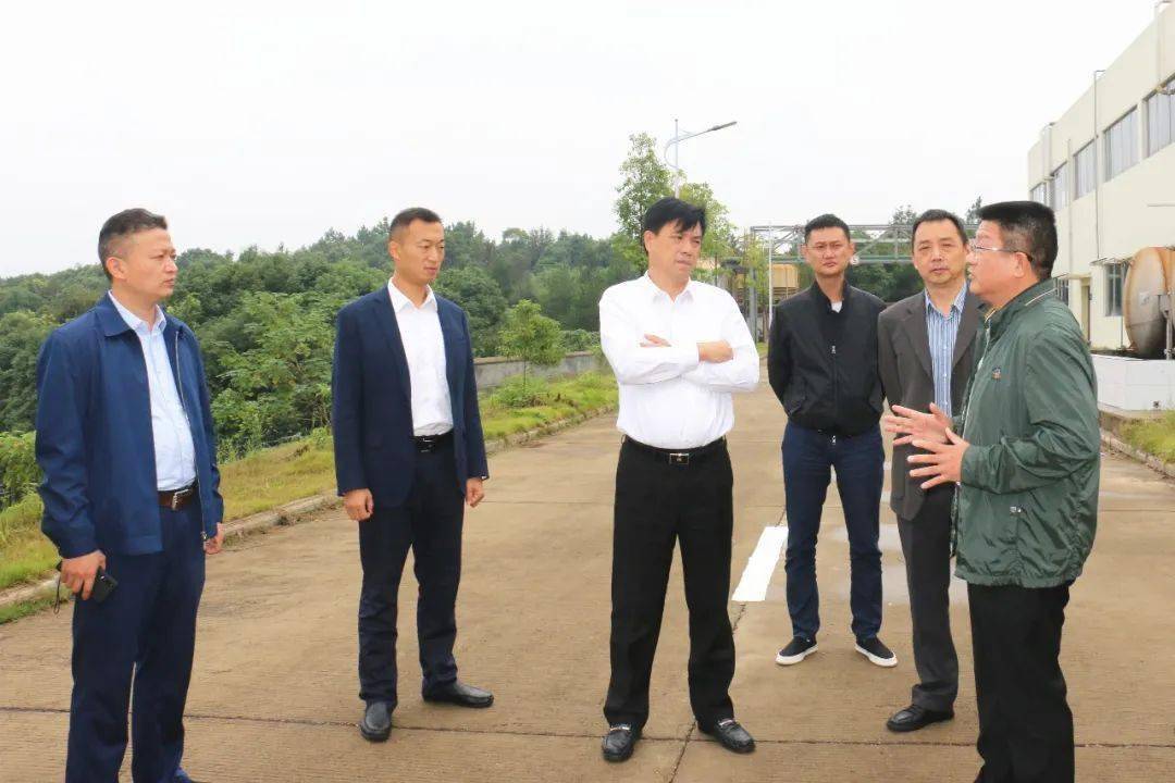 岳陽(yáng)王小中最新動(dòng)態(tài)更新??