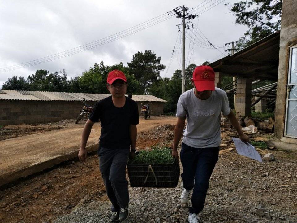 施甸縣最新疫情動態(tài)更新??