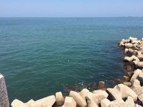 揭秘長島最新價格動態(tài)！