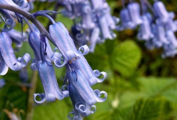 探索現(xiàn)代園藝新潮流與技巧的種花家最新