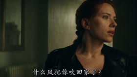 寡嫂文娟最新免費閱讀——書香四溢的情感激蕩之旅