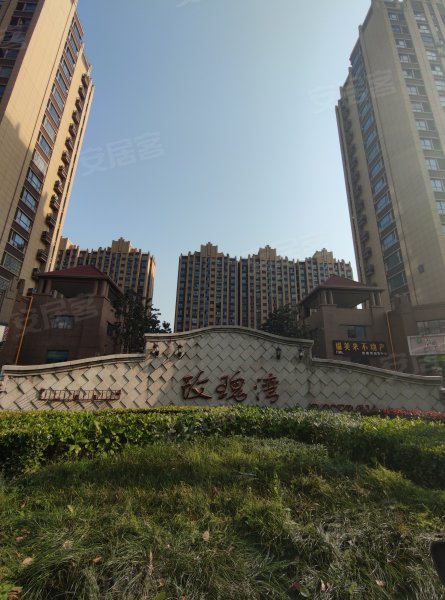 最新嵐角山玫瑰灣動(dòng)態(tài)更新??盛開絢爛之花海動(dòng)態(tài)