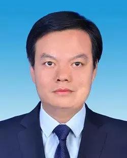 寶雞市最新任免情況解析，深度分析與觀點闡述