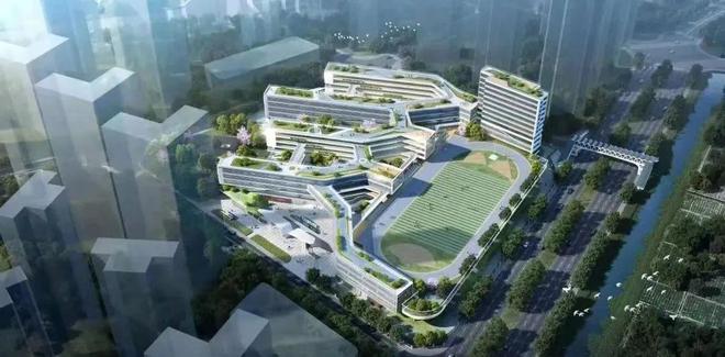 坪山沙田最新動(dòng)態(tài)，自然美景探索之旅啟程