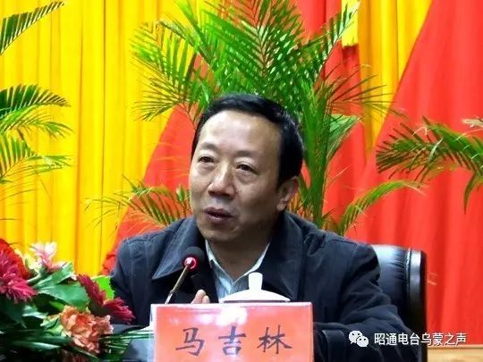 昭陽區(qū)馬吉林最新動態(tài)，全面探索與了解步驟指南