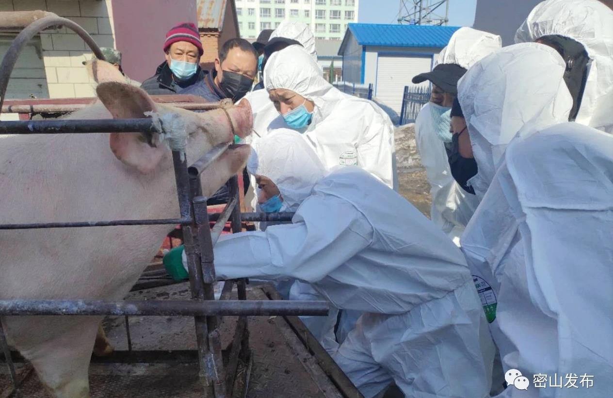 密山樓房最新出售消息，科技宅的夢(mèng)幻居所，未來(lái)生活品質(zhì)體驗(yàn)展