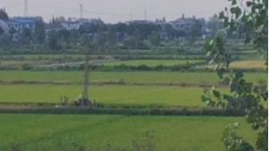 絞胎陶瓷工藝品開發(fā) 第5頁