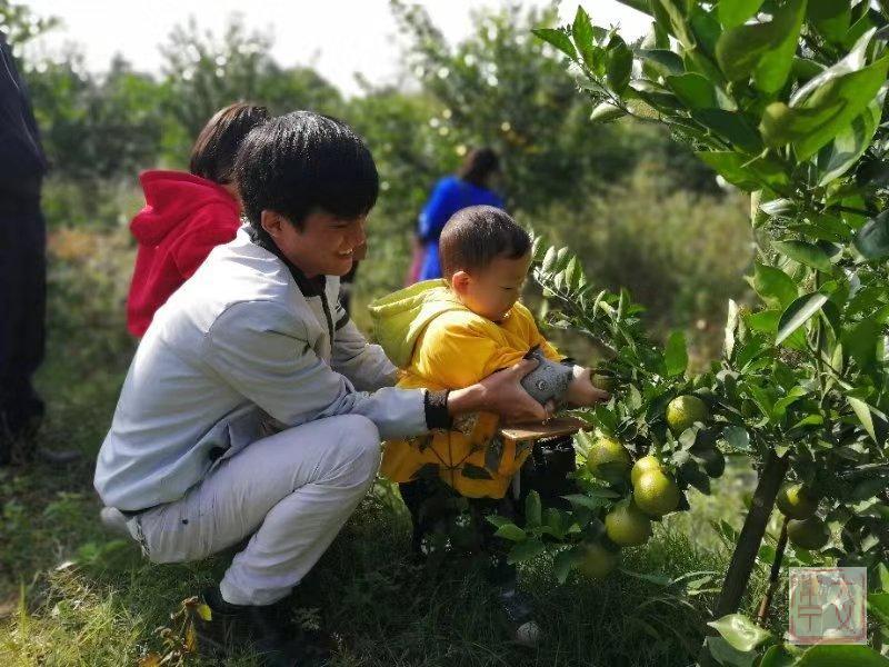 湖南常寧勝橋最新動態(tài)報道，新聞速遞????