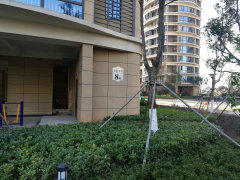 溫州金海首府最新動態(tài)及相關(guān)論述揭秘