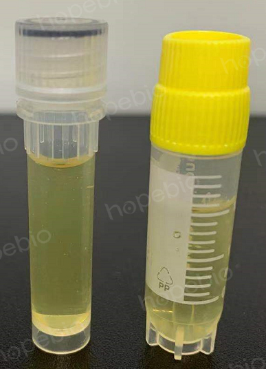 科技重塑生命之源，最新型液體菌種培養(yǎng)器開啟培育新紀(jì)元